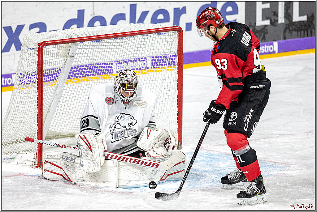 DEL; Koelner Haie - Thomas Sabo Ice Tigers Nuernberg, 19.02.2019